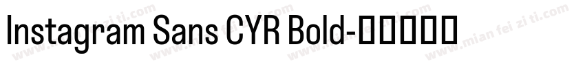 Instagram Sans CYR Bold字体转换